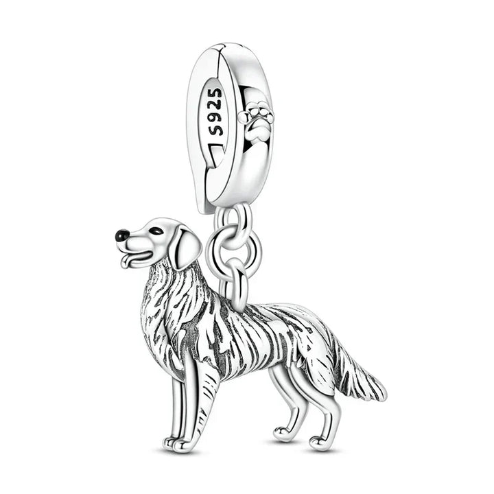 Retriever dorado