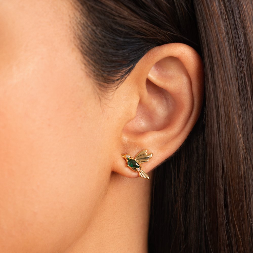 Pendientes colibri