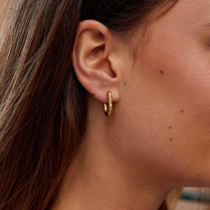 Pendientes de aro clásicos Olivia