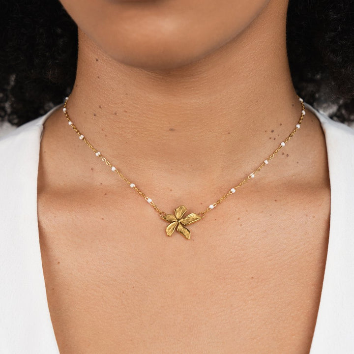 Collar de perlas Floración Primaveral